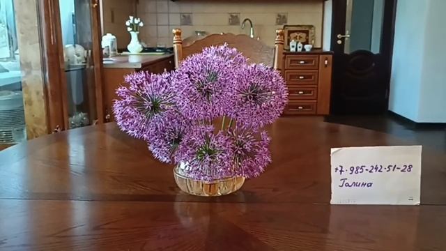 БАРАХОЛКА В НОВОПОДРЕЗКОВО 🪗 И МОИ НАХОДКИ #фарфор СССР#стеклоСССР# смотреть онлайн