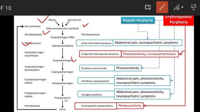 37_Production of Bile Pigments Part 02 смотреть онлайн