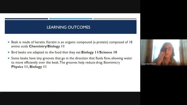 Crosscurricular Online or in the Classroom Learning Opportunities смотреть онлайн