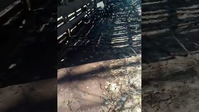 Вода с отходов стекающая в лес Зеленый Бор смотреть онлайн