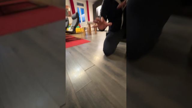 Zems Pro Стоимость Проекта