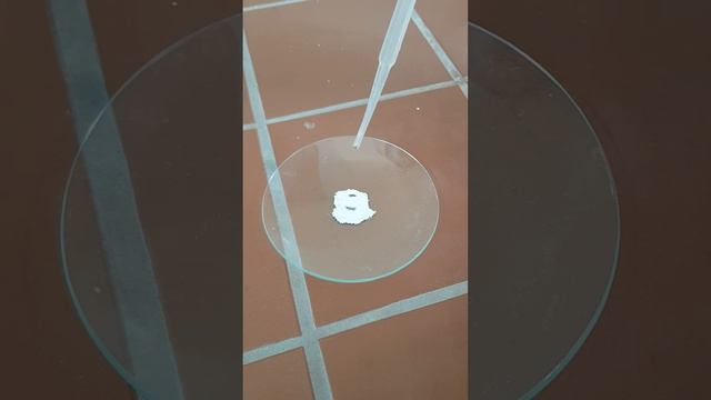 أحد طرق الكشف عن الماء،استخدام كبربتات النحاس الثنائي البيضاء وتحولها إلى اللون الأزرق #chemistry смотреть онлайн