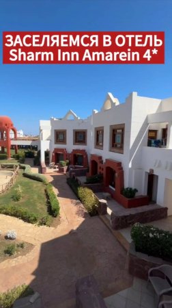 Переезжаем в другой отель Sharm Inn Amarein 4* #египет #шармэльшейх #путешествия