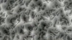 Вездесущий! Куэнзим Q10.