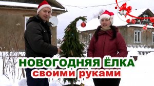 Новогодняя ЁЛОЧКА своими руками из живых еловых веток!