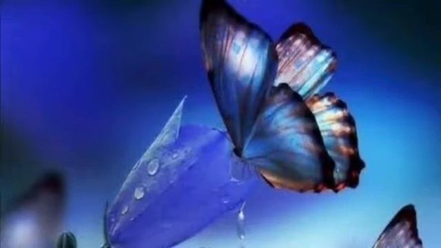 Майкл ньютон. Предназначение Души. 26 смотреть онлайн