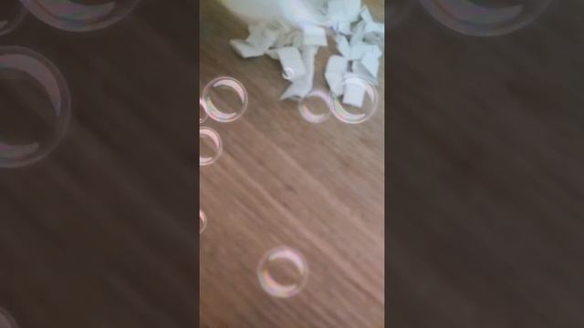 рыбки кошки собаки смотреть онлайн