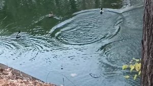 *Ты мне не веришь*классная песня в исполнении Юрия Шатунова..