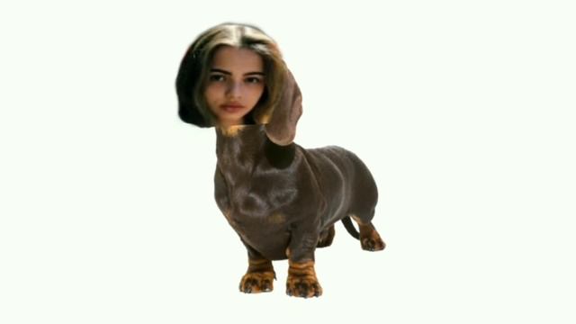 Валя Карнавал голая собака смотреть онлайн