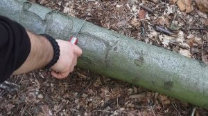 Victorinox RangerGrip 78  Vorstellung und Test