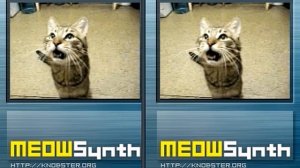 (MeowSynth) Cats on Mars