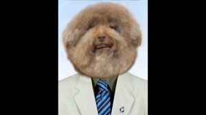 ипучий поёт гимн твича