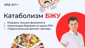 Катаболизм БЖУ | Александр Ваваев (FPA)