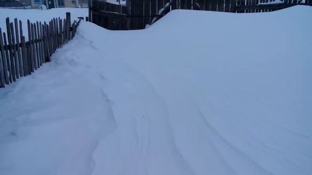 Собака ругается как Снегом занесло будку. смотреть онлайн