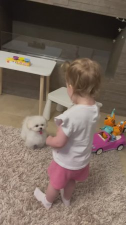 Ева играет с Милкой 🐩