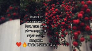 милодия 🥀🦋