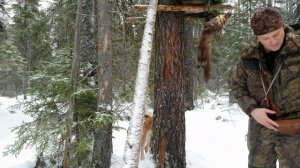 Удачная проверка капканов на куницу в новом году! Ящики снова в деле!