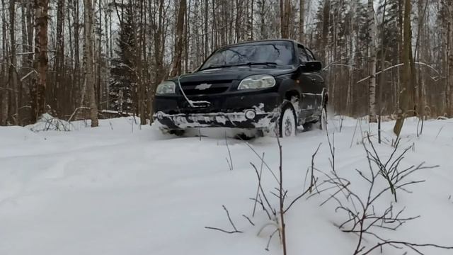 Первый снег в лесу у пос.Свердлова смотреть онлайн