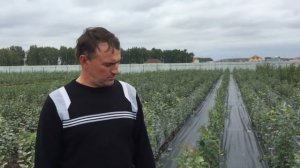 Омский садовод