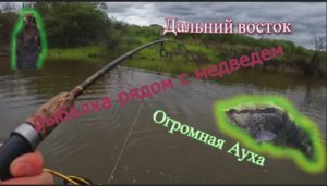 Дальний Восток Медведи Огромные краснокнижные Аухи