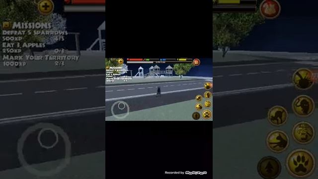 Давай глянем страй кет симулятор смотреть онлайн