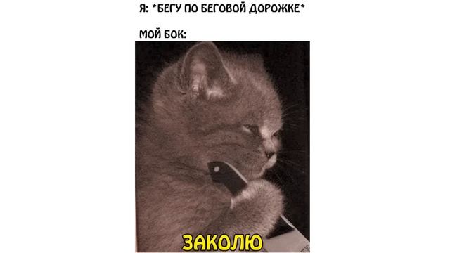 Новые МЕМЫ. Это поймут люди с IQ 99999999999999999999999999 смотреть онлайн