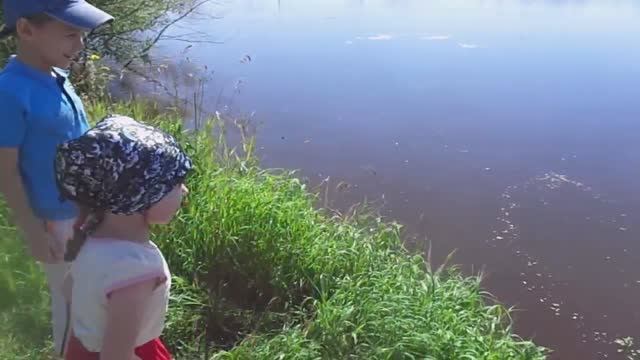Охотничья Собака Лабрадор всегда Принесет с Озера Добычу.