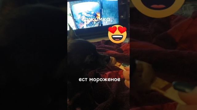 Джимка есть мороженое))😀😀