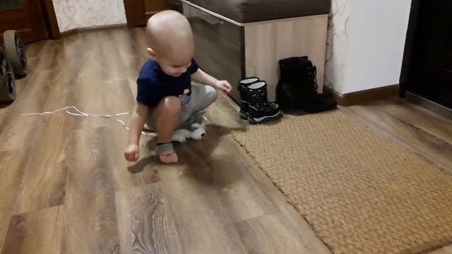 Ездовые собаки-это я слышал 😁