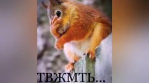 1733509982141