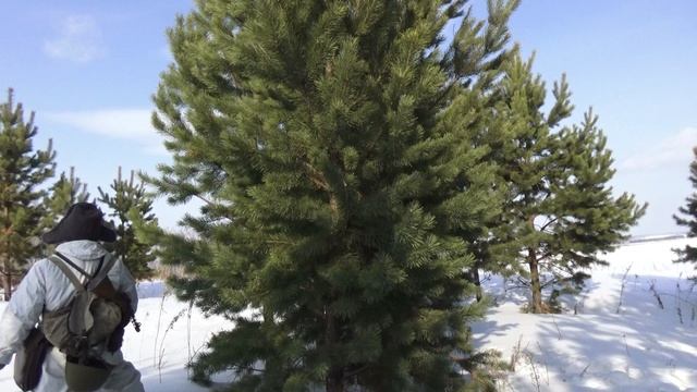 Последний дракон. Короткометражка. смотреть онлайн