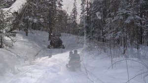 Прокат снегоходов