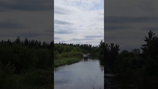 НАВОЗ ОТХОДЫ ПРОИЗВОДСТВА НА ЗЕМЛЕ           95