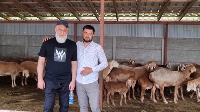 ILHOM akamizni Qirg'izistonlik ustozlari,LAYK AKALAR, arashan qo'y qo'zi ishqivozlariga смотреть онлайн