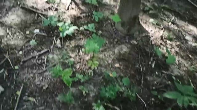 МЫ ВДЫХАЕМ КИСЛОРОД смотреть онлайн