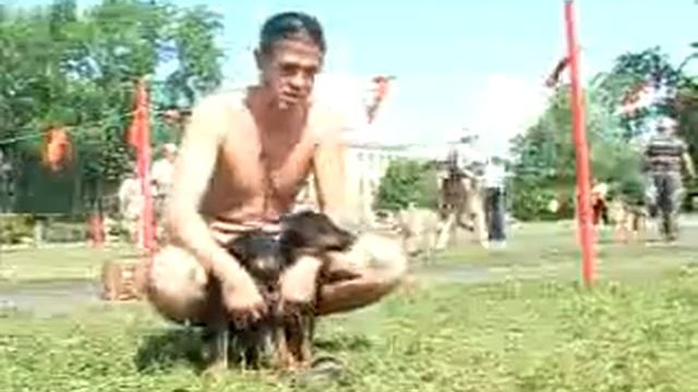 28 06 СОБАКИ смотреть онлайн