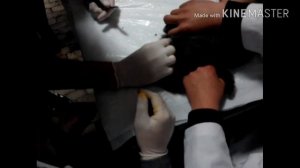 Кастрація кота закритим способом