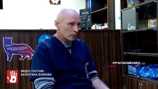 Ветеринар, который отказал в помощи бездомному псу, рассказал свою версию произошедшего смотреть онлайн