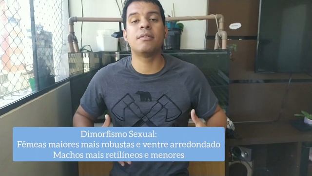 Ep. #16 FAUNA Neon Cardinal(Paracheirodon axelrodi) смотреть онлайн