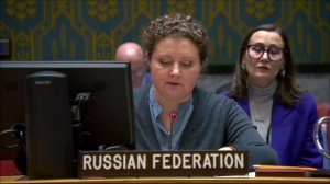 Statement by the DPR Anna Evstigneeva at a UNSC meeting on General issues relating to sanctions