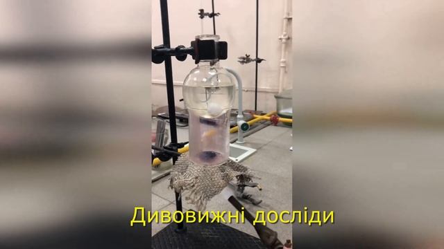 День відкритих дверей - Кафедра хімії НПУ імені М.П. Драгоманова смотреть онлайн