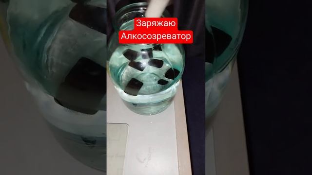 Заряжаю Алкосозреватель АС-223 ячмень и херес