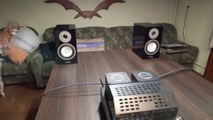 Акустическая система Yamaxa NS-BP301 Piano Black