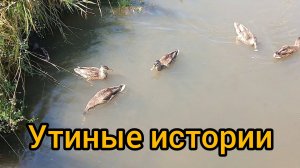Кто бы мог подумать, что так бывает. Случай из жизни