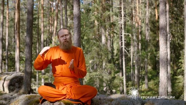 Йога-танцы для молодости мозга. И еще 5 способов восстановить нервные клетки