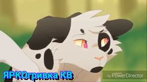 (Коты воители) клип  яролика и быстролап   •я люблю тебя•