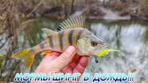 МОРМЫШИНГ осенью в дождь! Рабочая приманка на окуня!