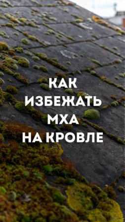 Как избежать мха на кровле