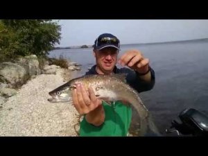 Столик для эхолота, закрепили бак, Рыбалка на р.Кама