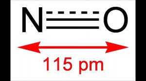 NO TRUTH (Nitric Oxide)